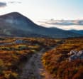 highlands scenery with mountain in background
