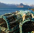 skye fishing cage